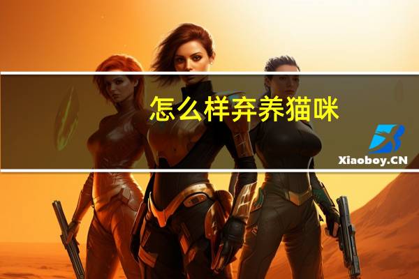 怎么样弃养猫咪