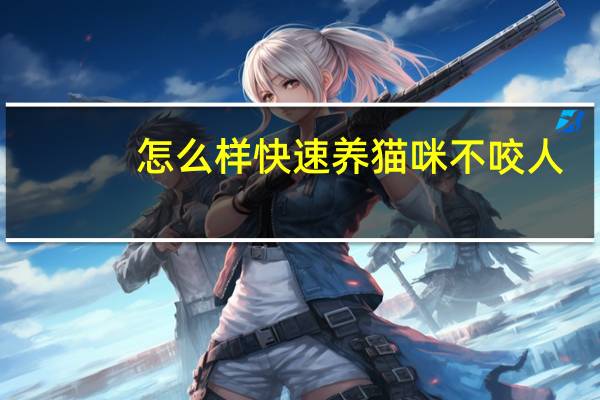 怎么样快速养猫咪不咬人
