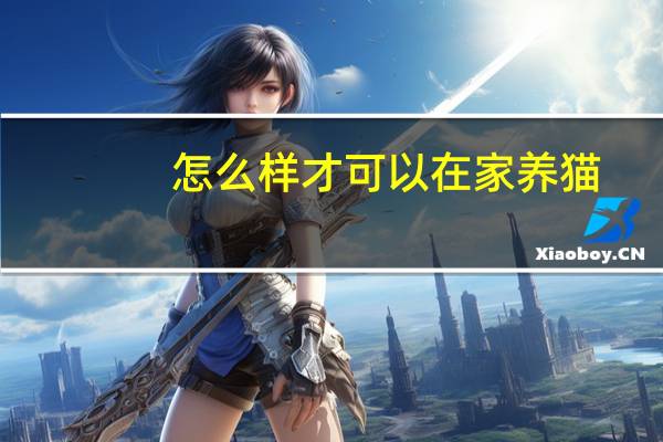 怎么样才可以在家养猫