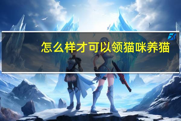 怎么样才可以领猫咪养猫