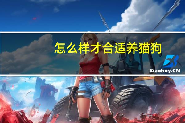 怎么样才合适养猫狗