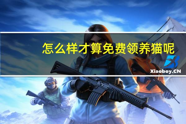 怎么样才算免费领养猫呢