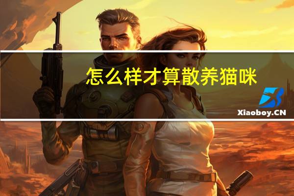 怎么样才算散养猫咪