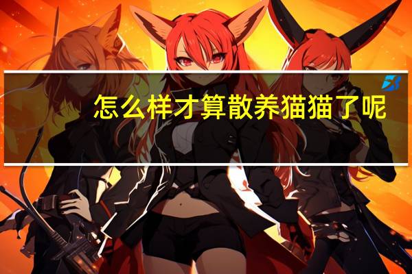 怎么样才算散养猫猫了呢