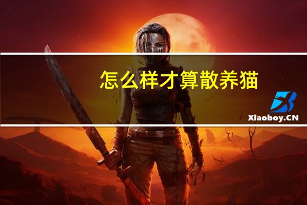 怎么样才算散养猫