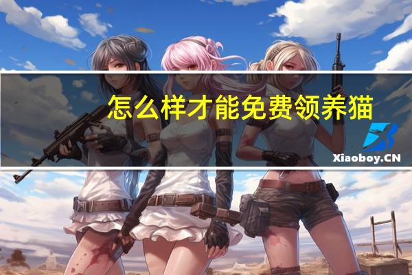 怎么样才能免费领养猫