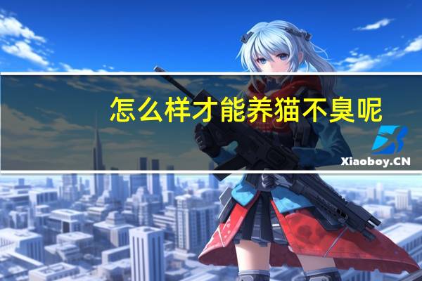 怎么样才能养猫不臭呢