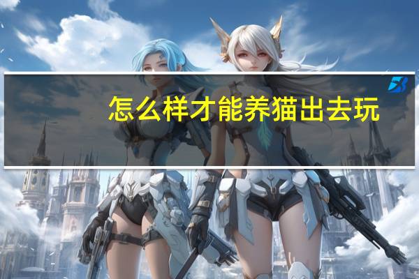 怎么样才能养猫出去玩