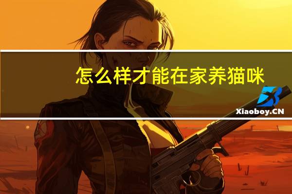 怎么样才能在家养猫咪