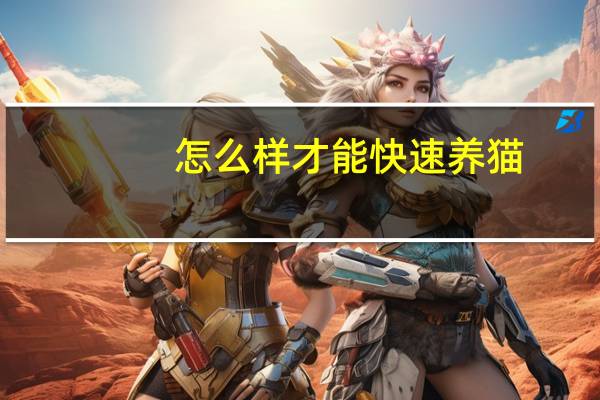 怎么样才能快速养猫