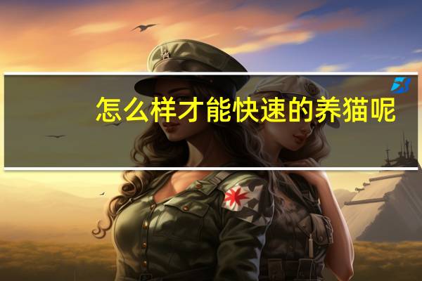 怎么样才能快速的养猫呢