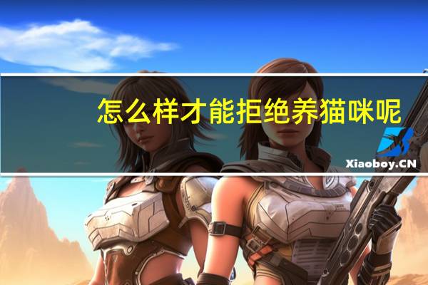 怎么样才能拒绝养猫咪呢