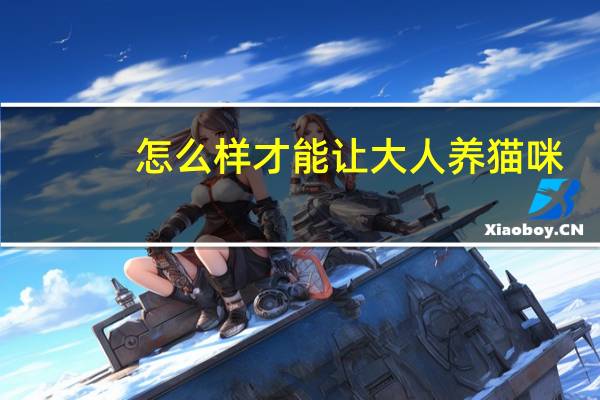 怎么样才能让大人养猫咪