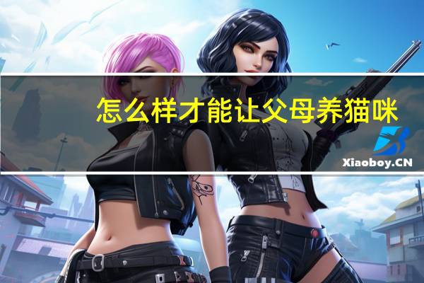 怎么样才能让父母养猫咪