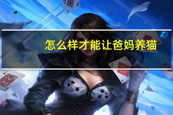 怎么样才能让爸妈养猫