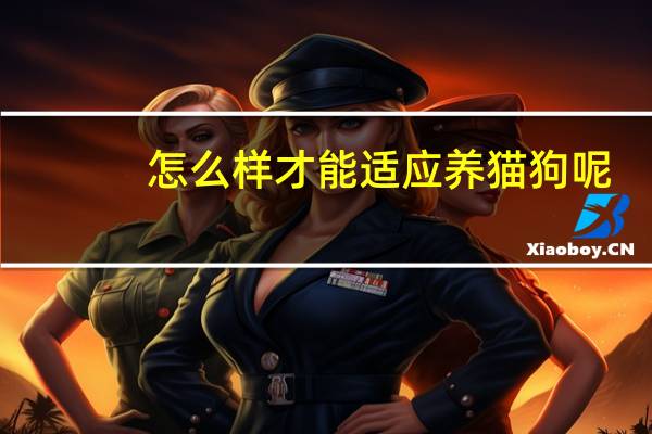怎么样才能适应养猫狗呢
