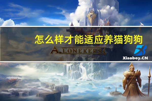 怎么样才能适应养猫狗狗