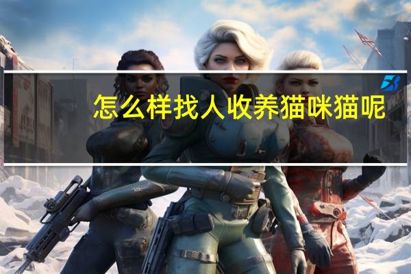 怎么样找人收养猫咪猫呢