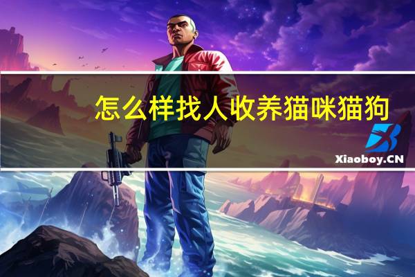怎么样找人收养猫咪猫狗