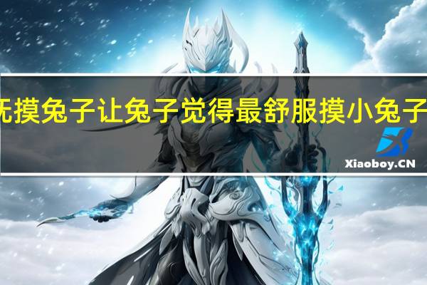 怎么样抚摸兔子让兔子觉得最舒服 摸小兔子哪里它最舒服