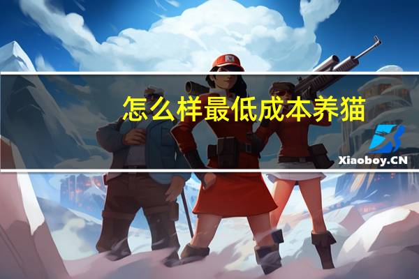 怎么样最低成本养猫