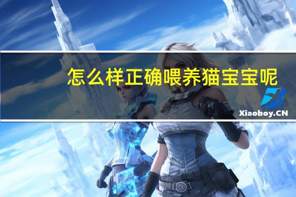 怎么样正确喂养猫宝宝呢