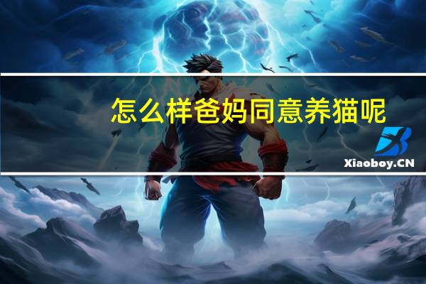 怎么样爸妈同意养猫呢