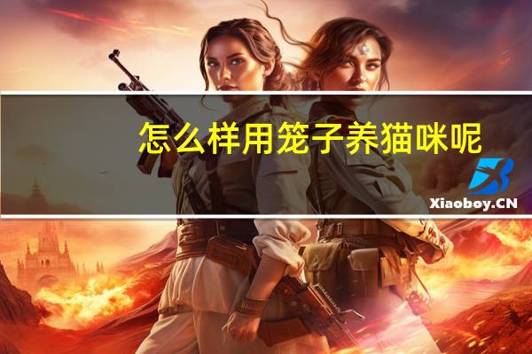 怎么样用笼子养猫咪呢