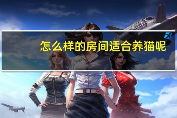怎么样的房间适合养猫呢