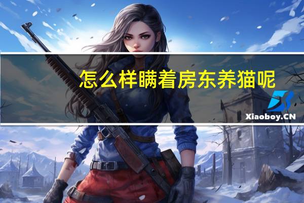 怎么样瞒着房东养猫呢