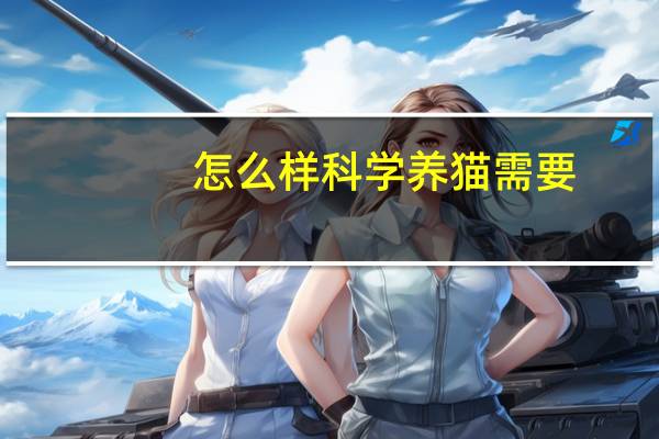 怎么样科学养猫需要