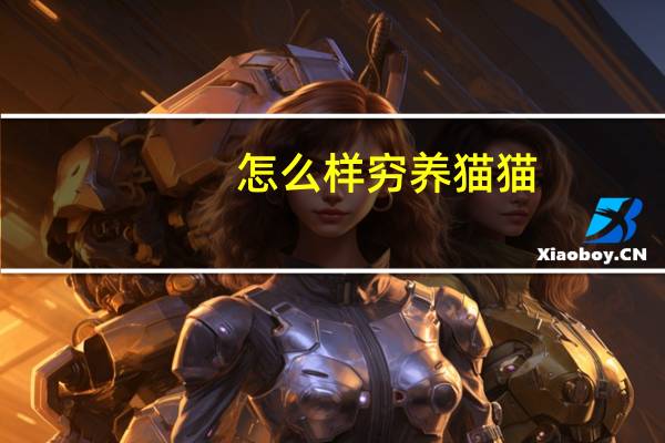 怎么样穷养猫猫