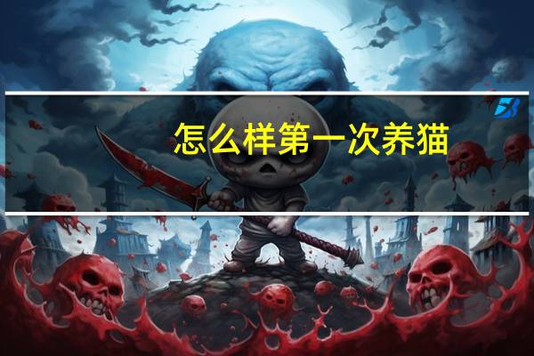 怎么样第一次养猫