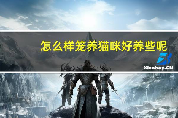 怎么样笼养猫咪好养些呢