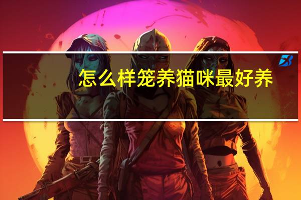 怎么样笼养猫咪最好养