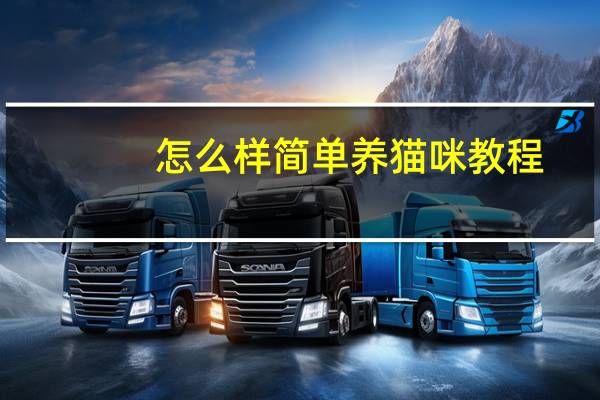 怎么样简单养猫咪教程