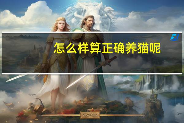 怎么样算正确养猫呢