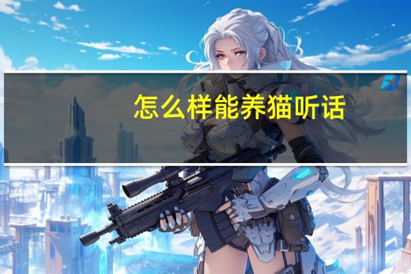 怎么样能养猫听话