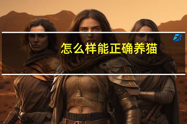 怎么样能正确养猫