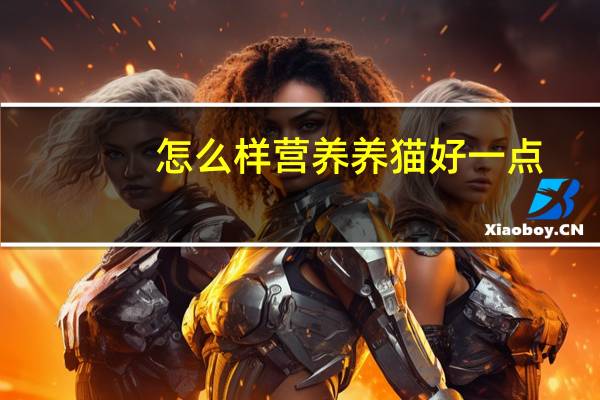 怎么样营养养猫好一点