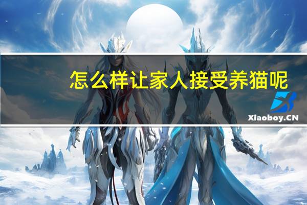 怎么样让家人接受养猫呢