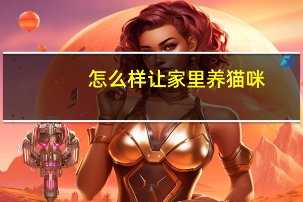 怎么样让家里养猫咪