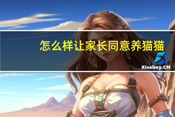 怎么样让家长同意养猫猫