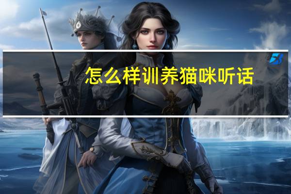 怎么样训养猫咪听话