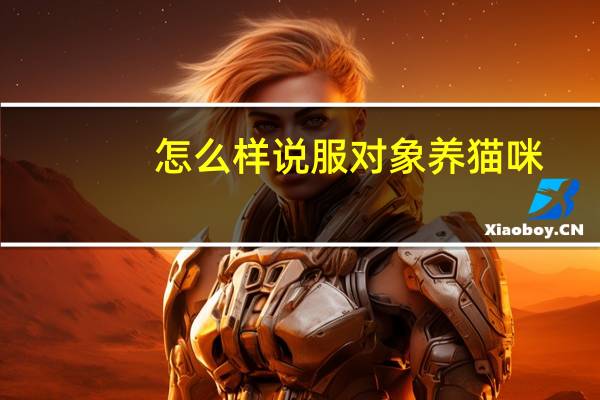 怎么样说服对象养猫咪