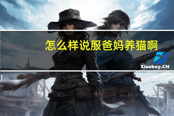 怎么样说服爸妈养猫啊