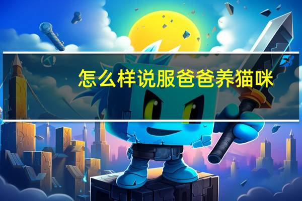 怎么样说服爸爸养猫咪