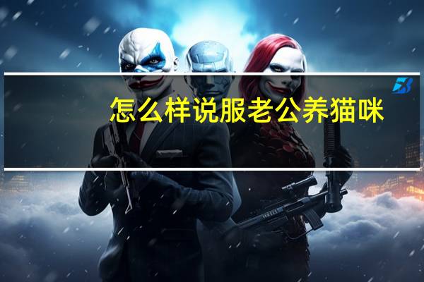 怎么样说服老公养猫咪