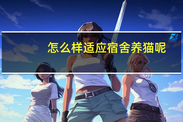 怎么样适应宿舍养猫呢
