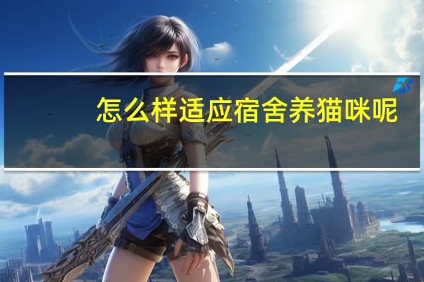 怎么样适应宿舍养猫咪呢